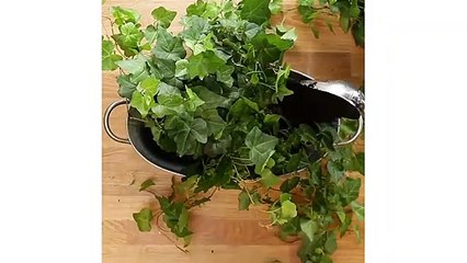 HOW TO!  Make the IVY GARDEN on wall