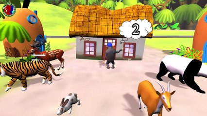 Monkey And Forest Animals Funny Outdoor Game For Kids ## || tiger panda goat rabbit deer