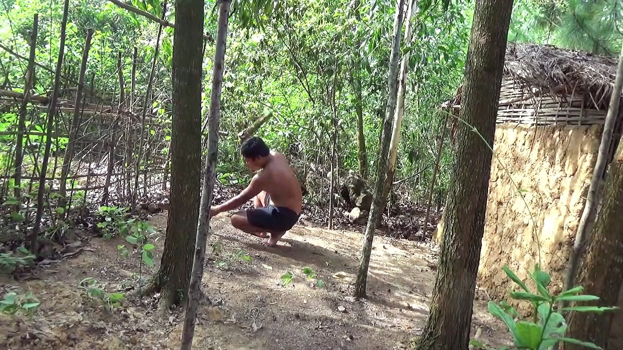 Primitive Life:Chicks!