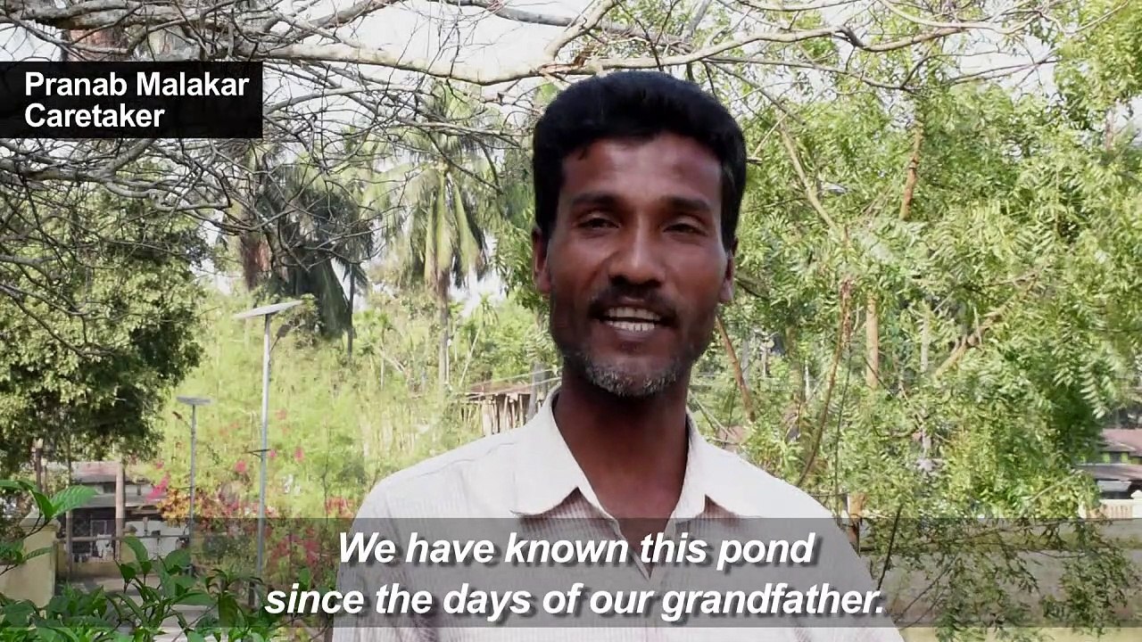 Indian temple helps nurture 'extinct' turtle