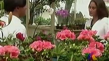 MIRADA DE MUJER CAPITULO 37