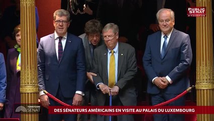 Invité : Loïc Hervé - Territoire Sénat (11/06/2019)