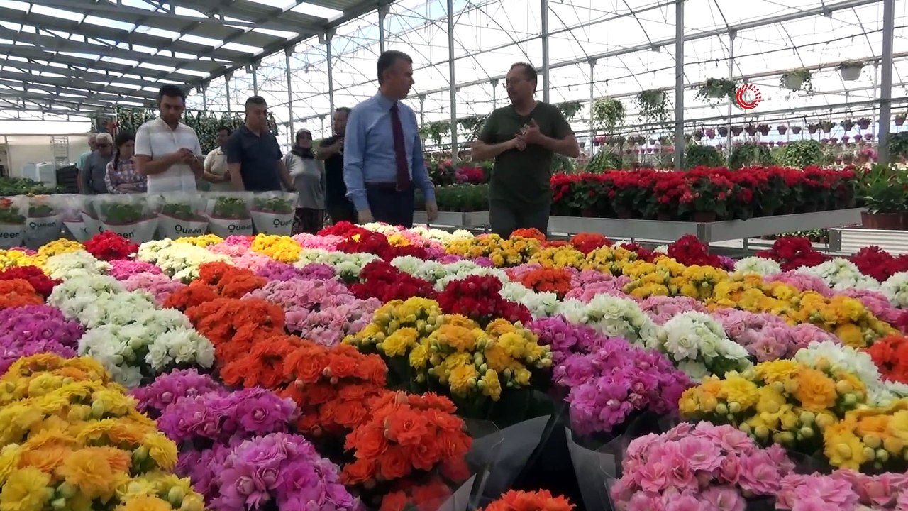 Kazdağları’nın etekleri çiçek açacak