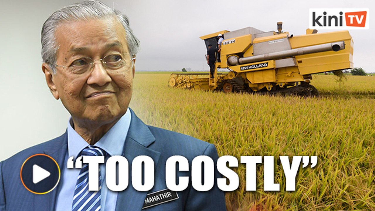 Dr Mahathir: Paddy farming subsidies too costly