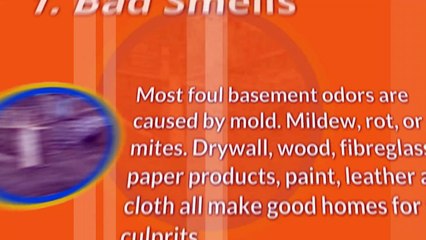 7 Most Common Basement Problems