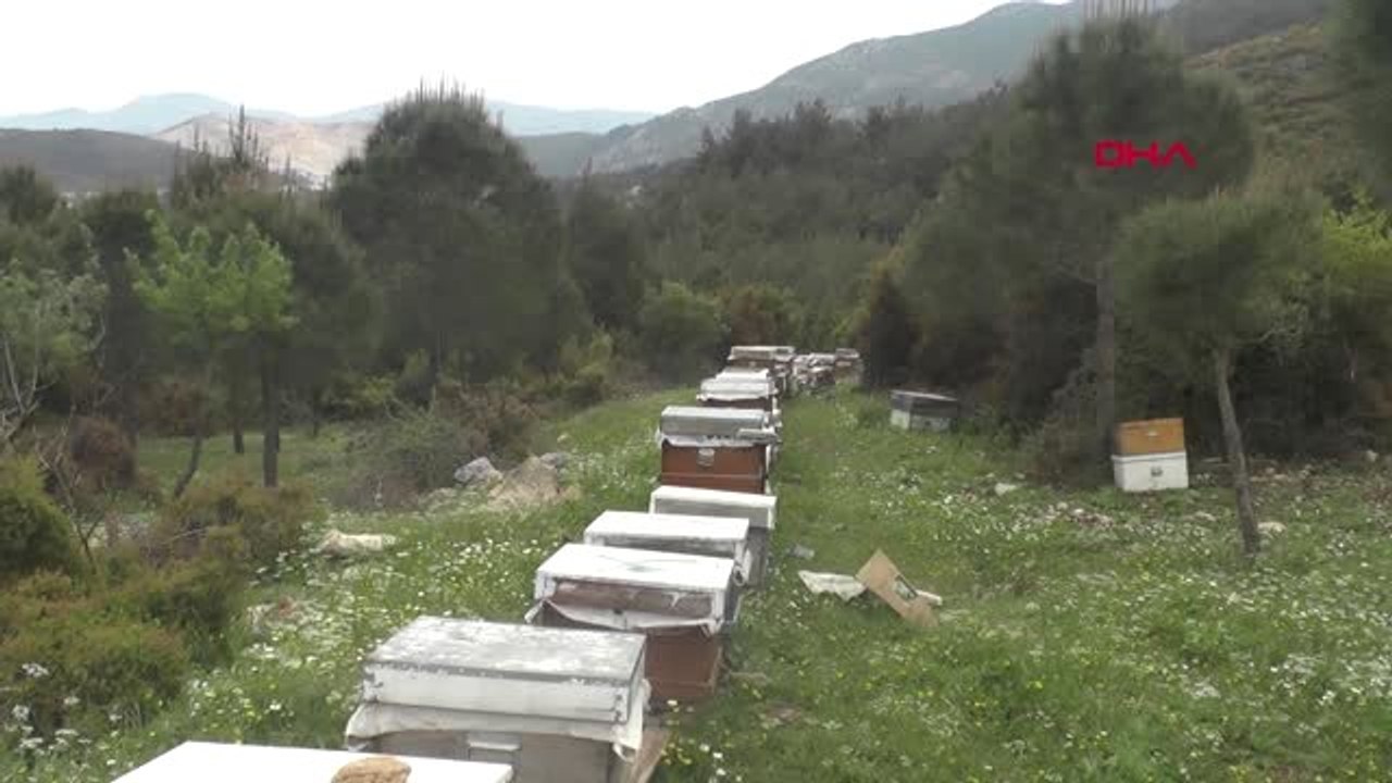 MANİSA HOBİ DİYE BAŞLADI, ŞİMDİ İHRACAT YAPIYOR