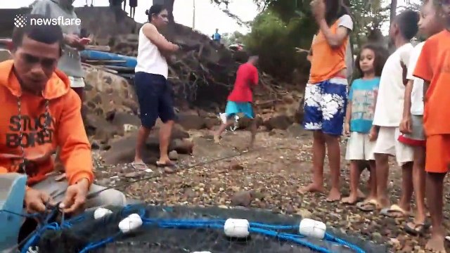 Indonesian villagers rescue turtle trapped in fishing net