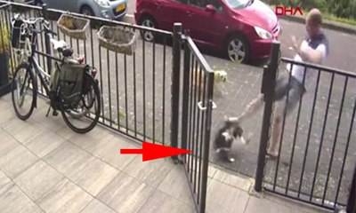 Bahçedeki kediye saldırdı