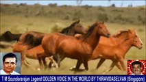 Old Is Gold (evergreen) T M Soundararajan Legend Vol 233   horse  song  6