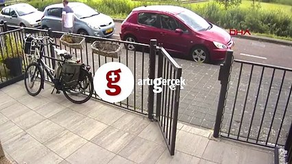 Kedi köpek dalaşına insan da karıştı