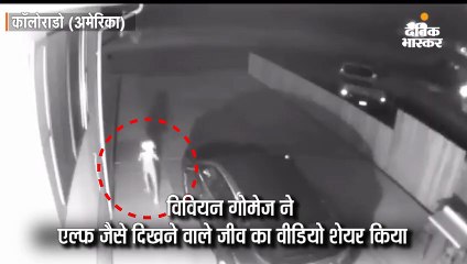 एल्फ जैसे जीव वाले वीडियो को 3 करोड़ से ज्यादा लोगों ने देखा, सीसीटीवी में कैद हुआ था