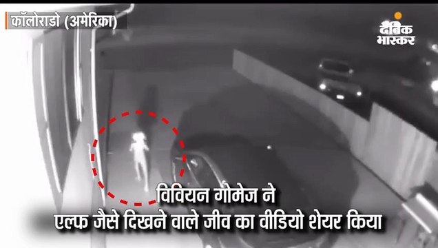 एल्फ जैसे जीव वाले वीडियो को 3 करोड़ से ज्यादा लोगों ने देखा, सीसीटीवी में कैद हुआ था