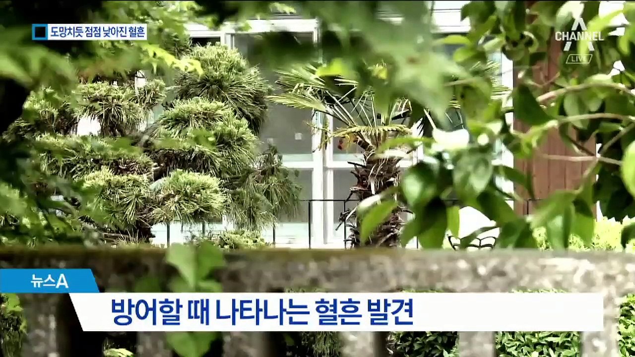 천장 혈흔에 담긴 흔적…“졸피뎀 먹인 후 최소 3차례 공격”