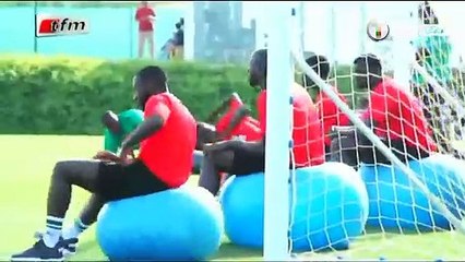 entrainement des lions