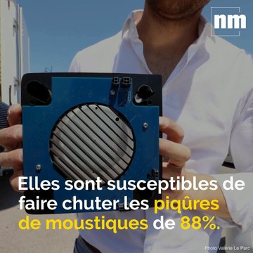 Borne anti-moustiques, marché de la truffe, fête du livre: voici votre brief info de mardi après-midi