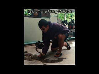 Trump Talking To Liberals