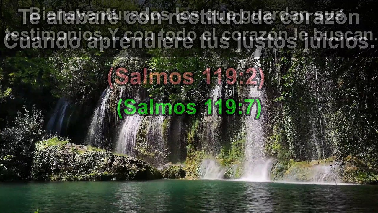 Versículos Bíblicos sobre el Corazón