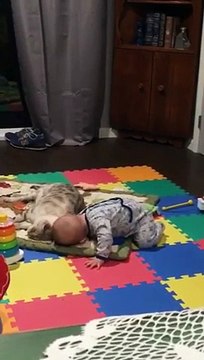 Ce bébé veut faire un calin au gros chat allongé dans le salon !