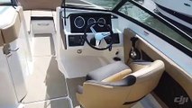 2019 Sea Ray SPX 230 For Sale at MarineMax Ohio