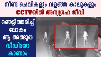 സിനിമയിലെ പോലെ അന്യഗ്രഹ ജീവി സിസിടിവിയിൽ