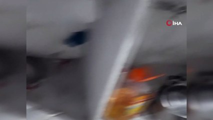 Eve giren yılanlar korkuttu