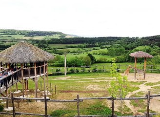 Découvrez l'Auvergne: Présentation du Parc animalier d'Auvergne d'Ardes sur Couze (63)