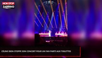 Céline Dion interrompt son concert pour un spectateur parti aux toilettes (Vidéo)