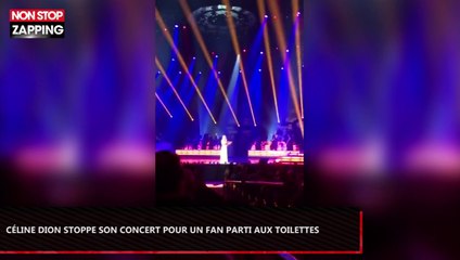 Céline Dion interrompt son concert pour un spectateur parti aux toilettes (Vidéo)