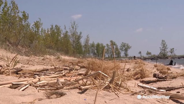 How an endangered species of bird could be facing more trouble as a result of rising water ...