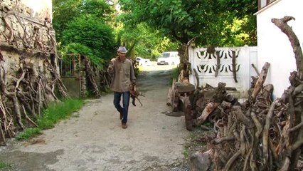 Ağaç köklerini sanata dönüştürüyor - SAKARYA