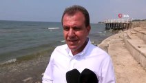 Mersin’de Dev Caretta Caretta Ölü Olarak Sahile Vurdu