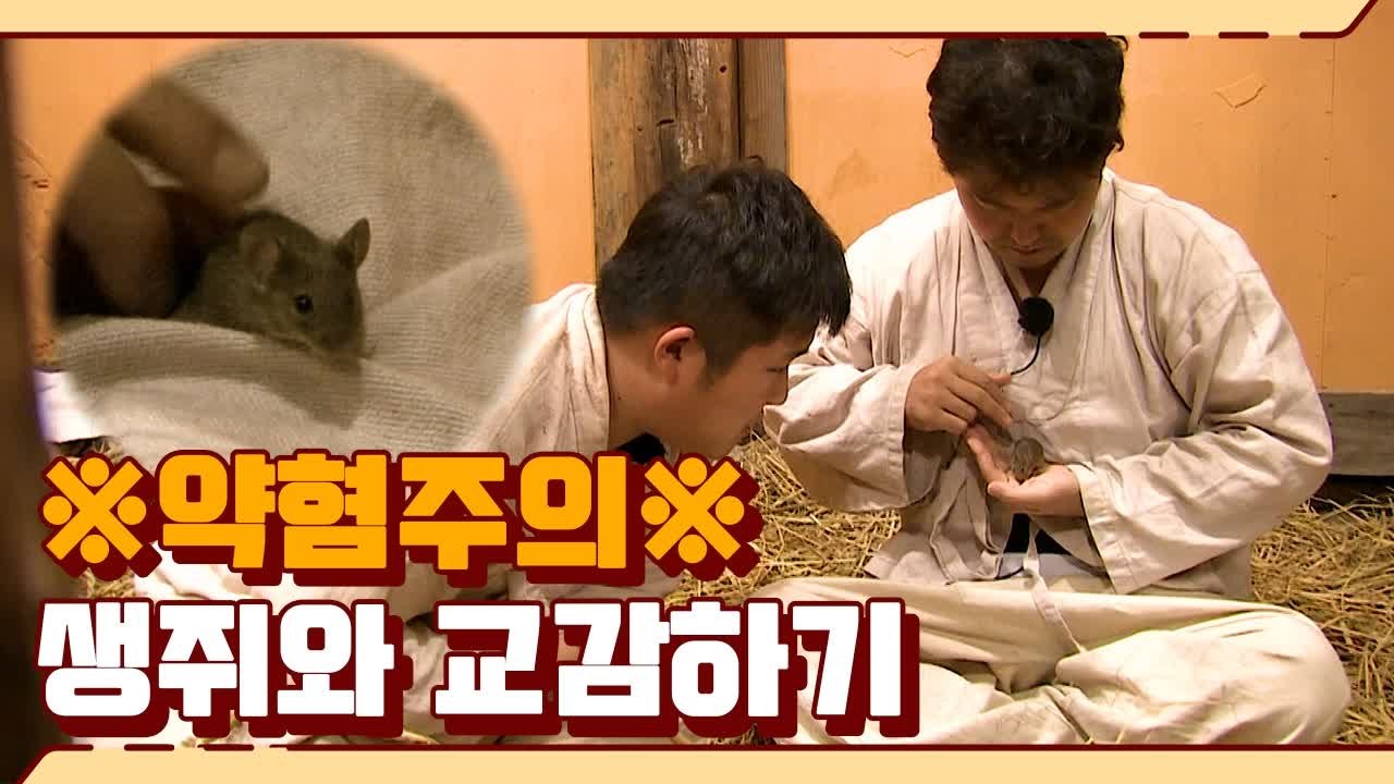 싫어하라고 일부러 넣어둔 생쥐 귀여워하는 전현무&조세호, 제작진들 일동 당황 | 렛츠고시간탐험대 | 깜찍한혼종