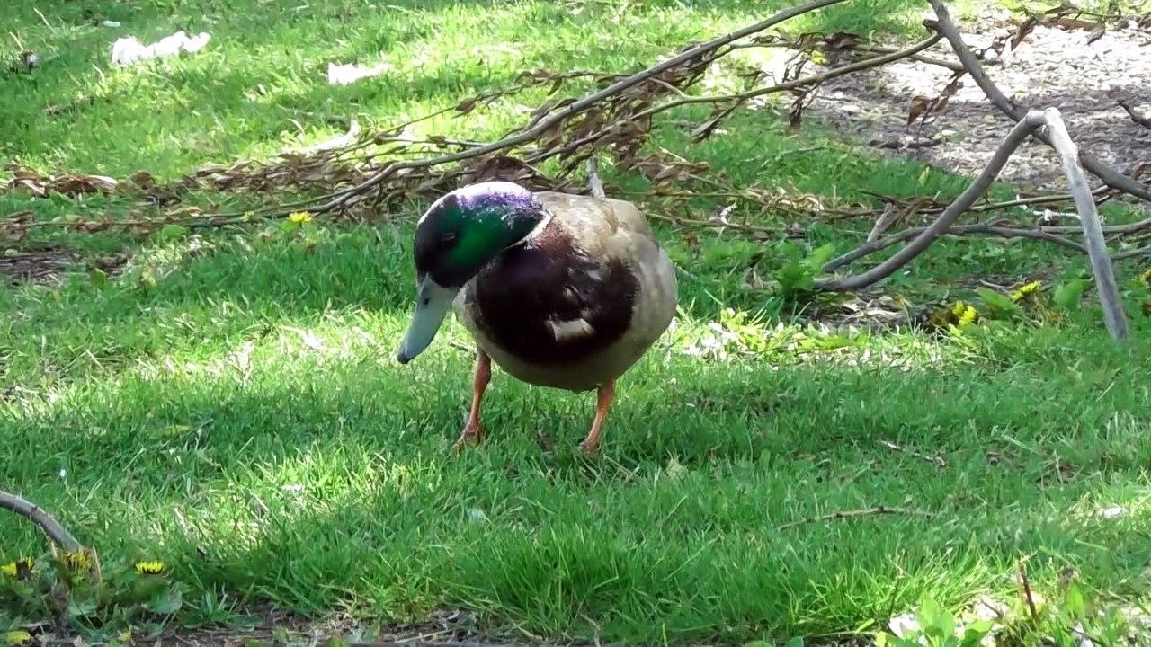 May 29 2019 F3