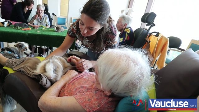 Bédarrides : des animaux à l’Ehpad pour améliorer le bien-être des résidents