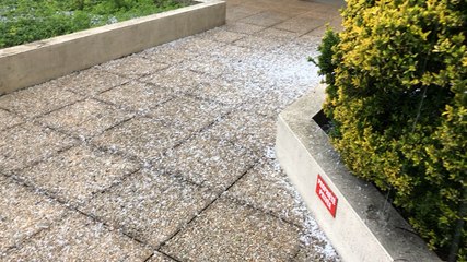 Vers 18h15, l’orage a commencé à gronder et la grêle à tomber