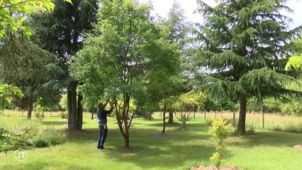 L'arboretum , lieu d'exception