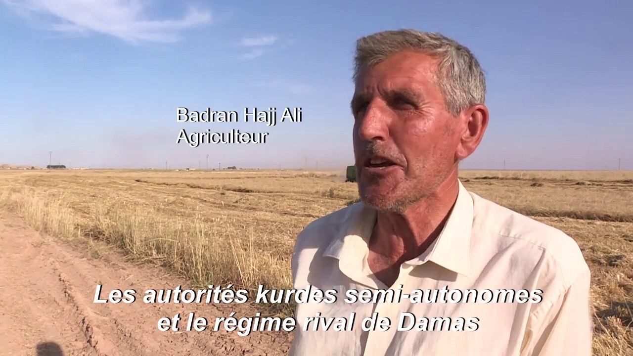 En Syrie, la bataille du blé fait rage entre régime et pouvoir kurdes