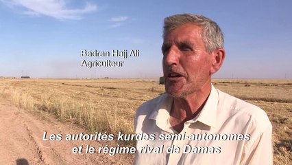 En Syrie, la bataille du blé fait rage entre régime et pouvoir kurdes