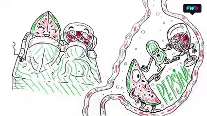 ¿Seguir tomando lo que te emborrachó cura la resaca?