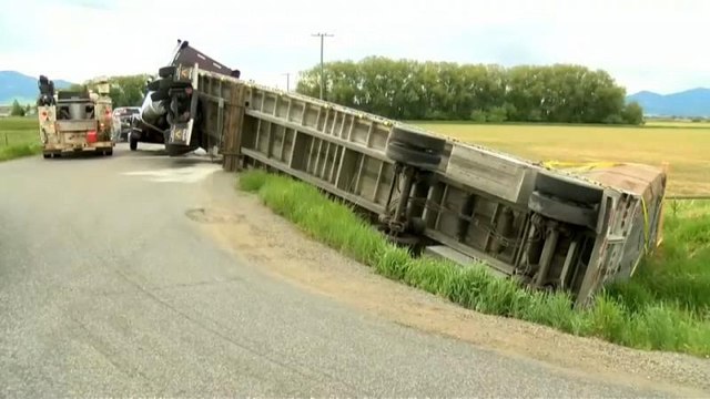 Осторожно, пчелы!