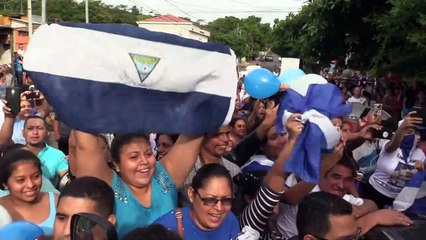 Oposição em liberdade