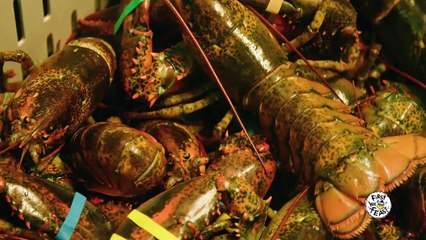 How to Eat a Lobster Like a Pro | Food Skills