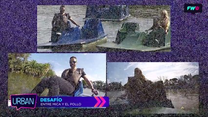 Mica Viciconte compite con el pollo