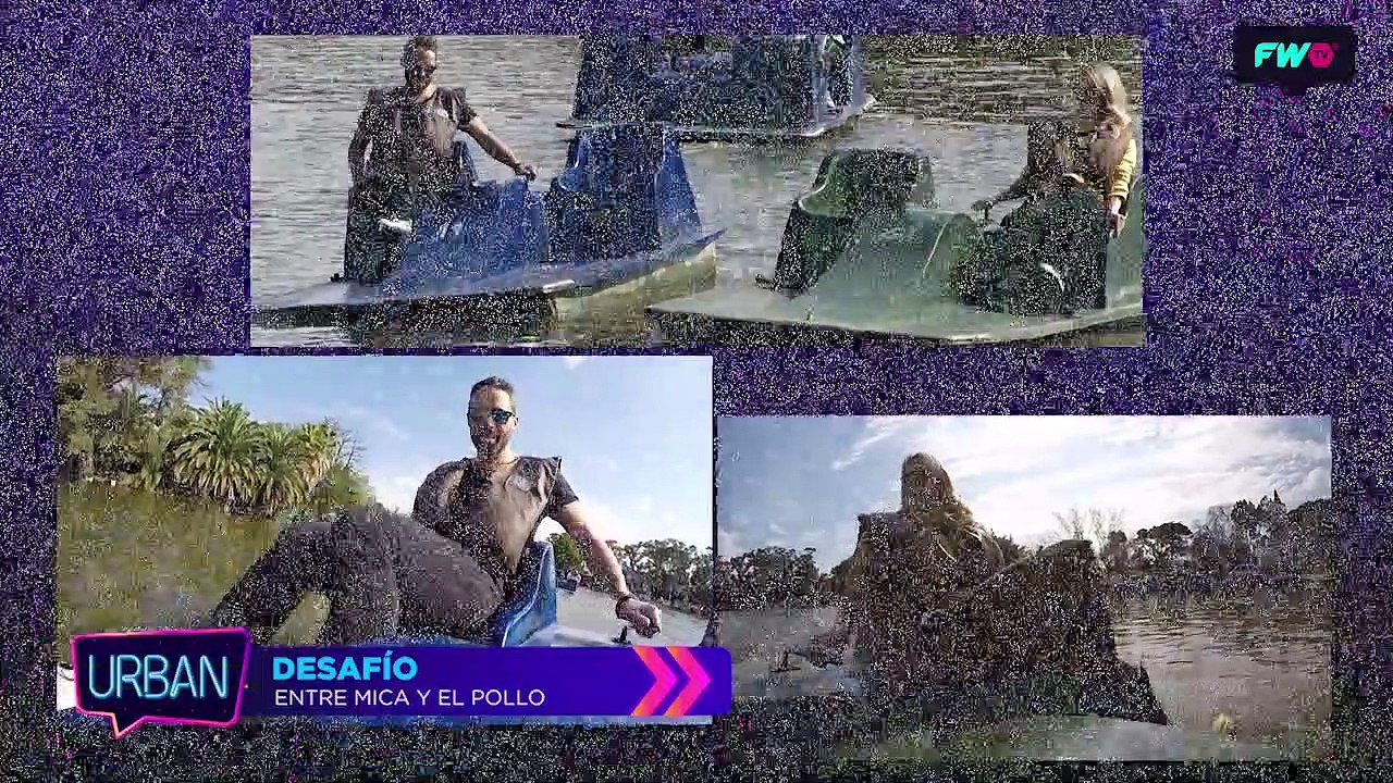 Mica Viciconte compite con el pollo