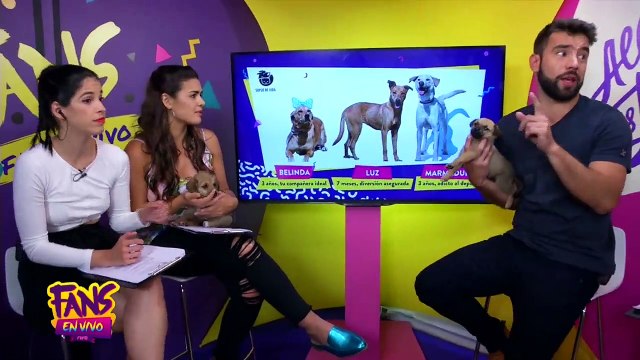 CORTE FEV #60 soplo de vida