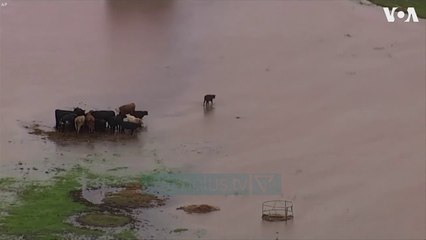 Stuhia “Miguel” u merr jetën tre personave - News, Lajme - Vizion Plus