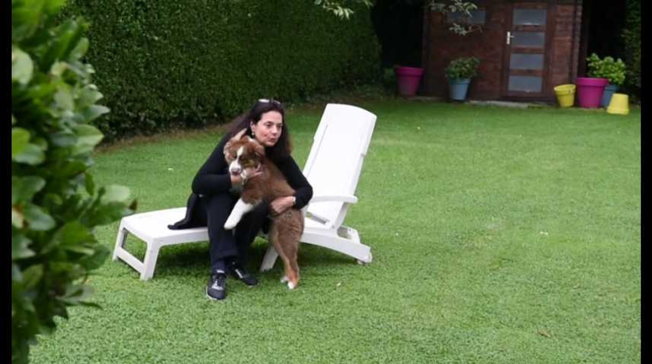 Liège : Sherlock le chien de Christine Defraigne est le premier bébé de la majorité MR PS