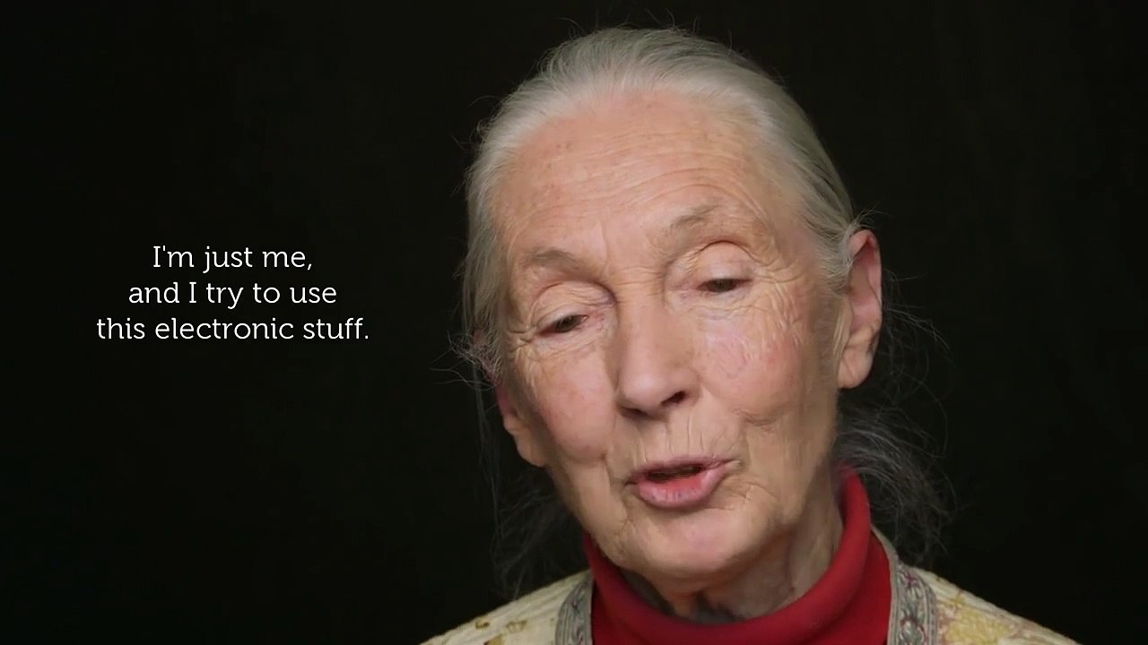 Jane Goodall