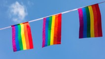U.S. embassies continue to fly pride flags against State Department requests, and we're cheering them on