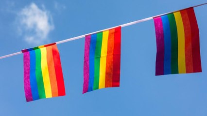 U.S. embassies continue to fly pride flags against State Department requests, and we're cheering them on